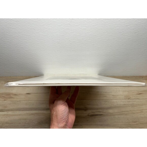 Fine Art "One Too Many Hits" Hand Produced Giclee Print Signed From Mary Hanson - Picture 11 of 11